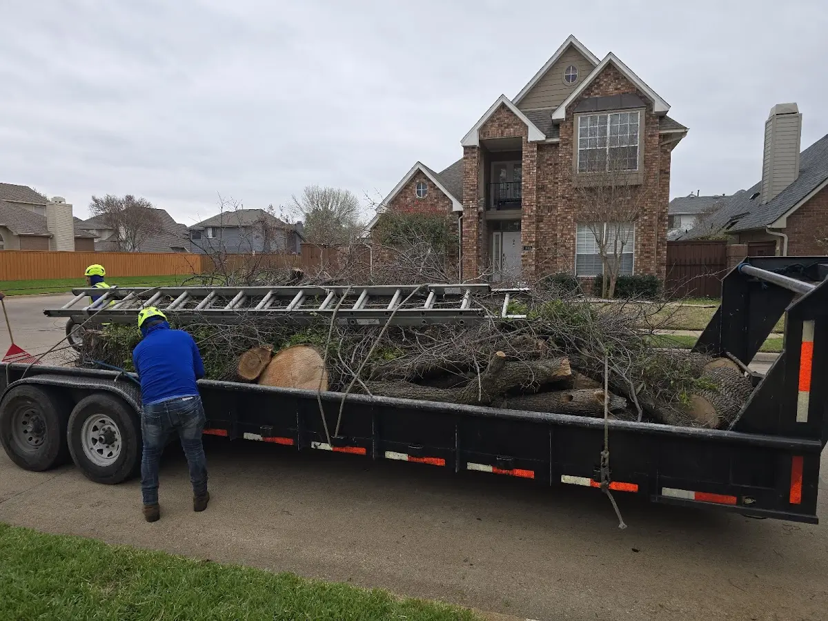 Expert Tree Fertilization with proper safety equipment in Montgomery Creek